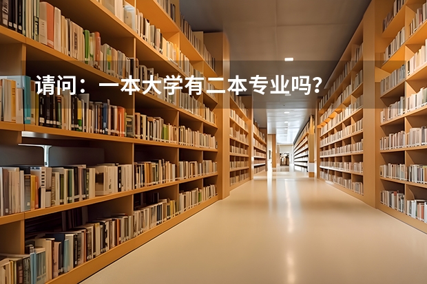 请问：一本大学有二本专业吗？
