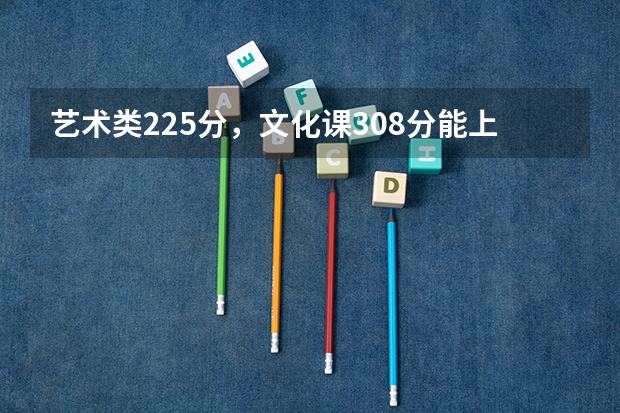 艺术类225分，文化课308分能上公办学校吗