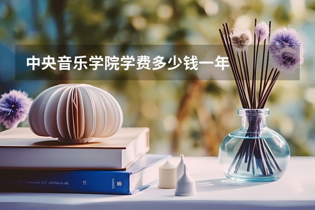 中央音乐学院学费多少钱一年