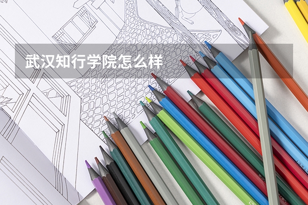 武汉知行学院怎么样