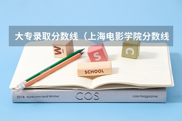 大专录取分数线（上海电影学院分数线）