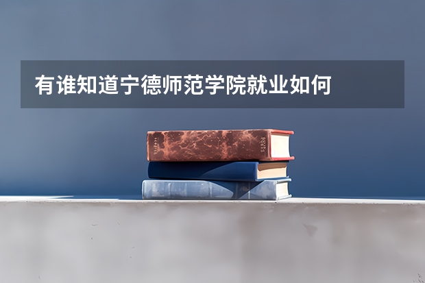 有谁知道宁德师范学院就业如何