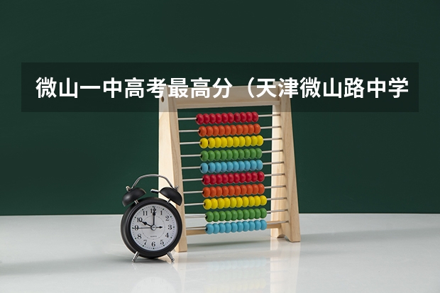 微山一中高考最高分（天津微山路中学高考成绩）