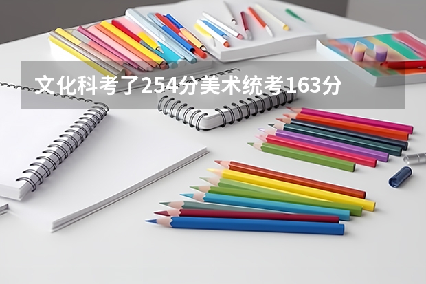 文化科考了254分美术统考163分，能 上什么好的专科公办大学，请专业人士解 答！！！！谢谢