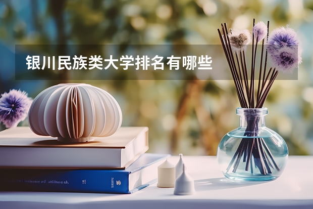 银川民族类大学排名有哪些