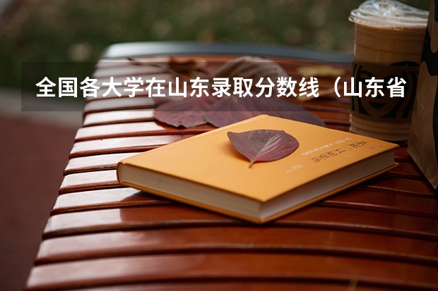 全国各大学在山东录取分数线（山东省大学排名及录取分数线）