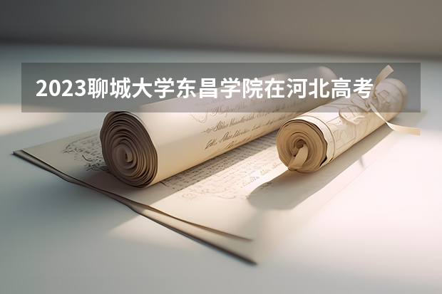 2023聊城大学东昌学院在河北高考专业招生计划人数