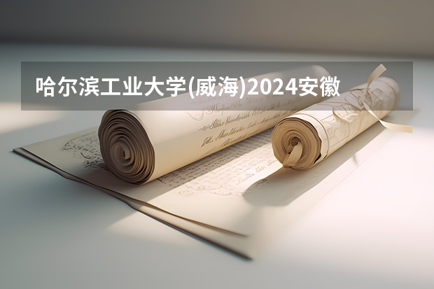 哈尔滨工业大学(威海)2024安徽高考招生计划详解