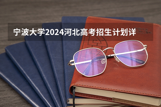 宁波大学2024河北高考招生计划详解
