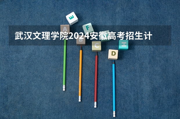 武汉文理学院2024安徽高考招生计划详解