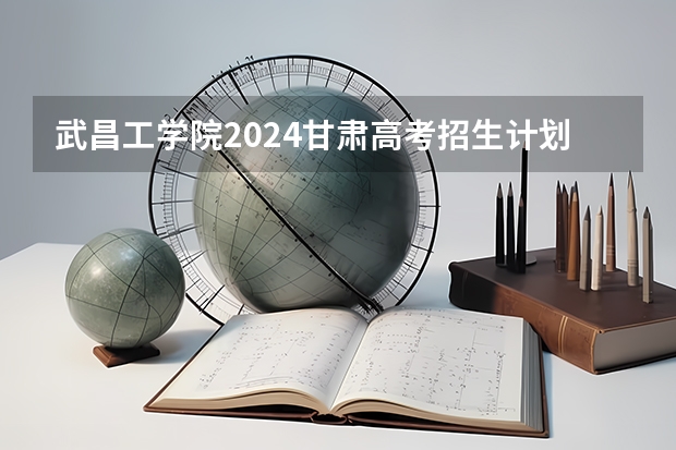 武昌工学院2024甘肃高考招生计划详解