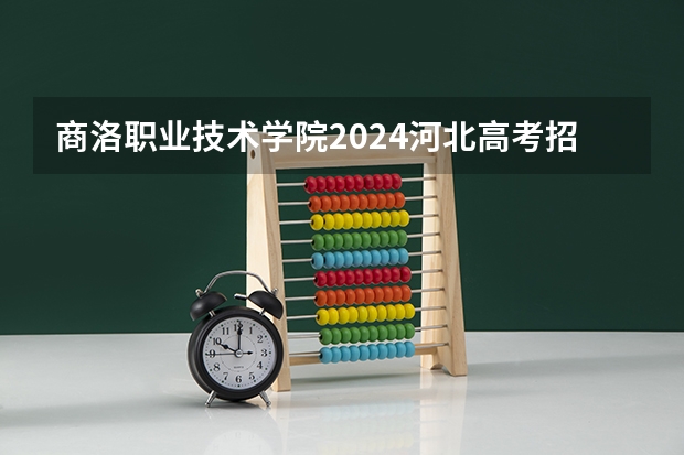 商洛职业技术学院2024河北高考招生计划详解