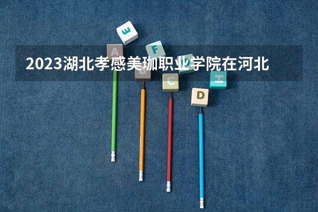 2023湖北孝感美珈职业学院在河北高考专业招生计划人数
