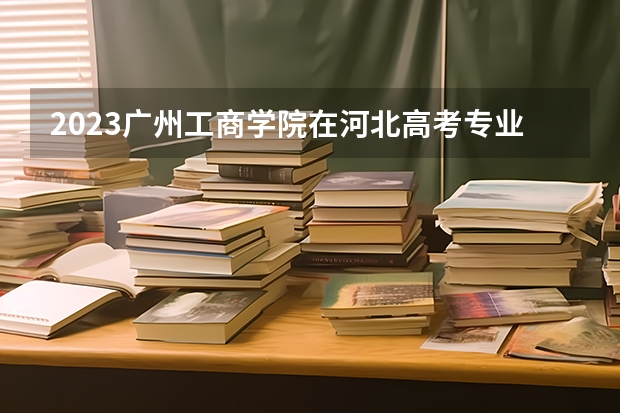 2023广州工商学院在河北高考专业招生计划人数