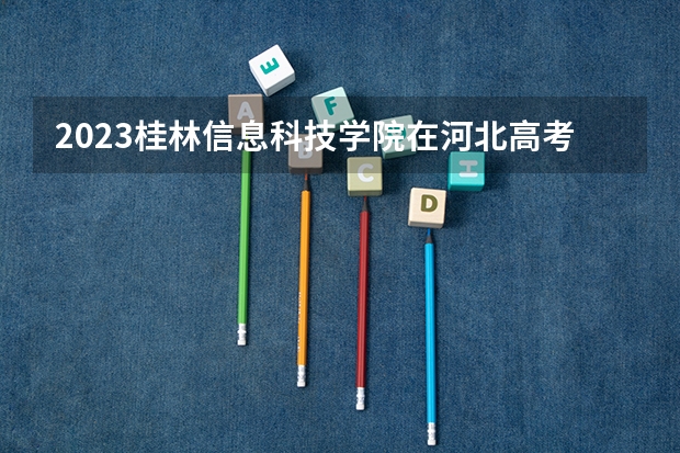 2023桂林信息科技学院在河北高考专业招生计划人数