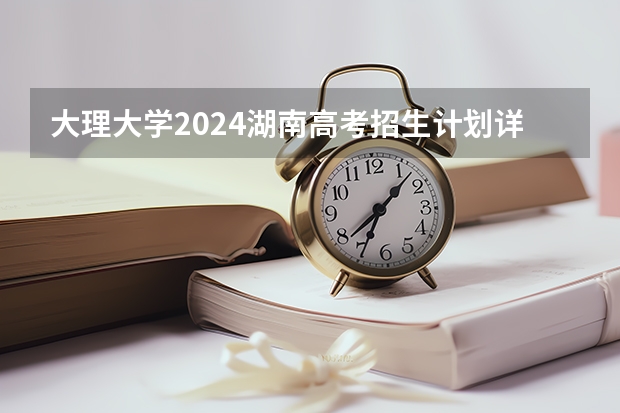 大理大学2024湖南高考招生计划详解