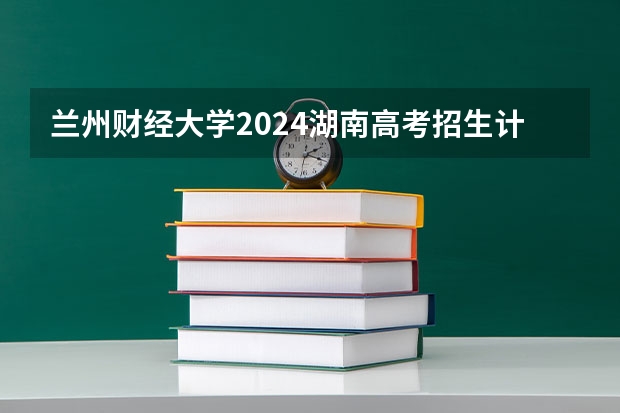 兰州财经大学2024湖南高考招生计划详解