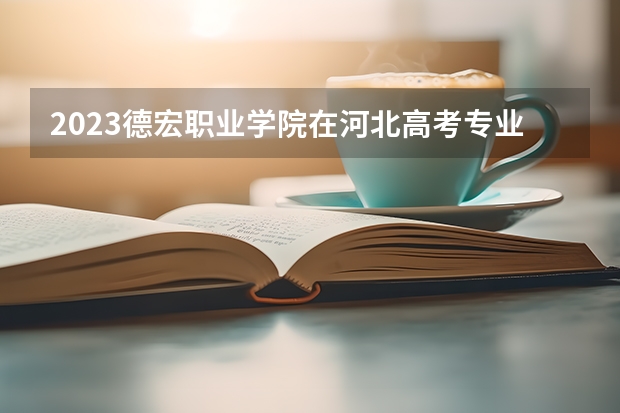 2023德宏职业学院在河北高考专业招生计划人数