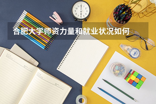 合肥大学师资力量和就业状况如何