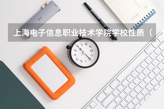 上海电子信息职业技术学院学校性质（收费标准）