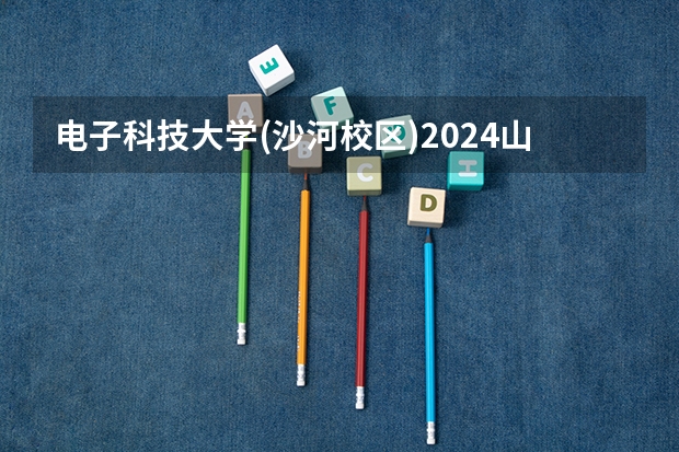 电子科技大学(沙河校区)2024山西高考招生计划详解
