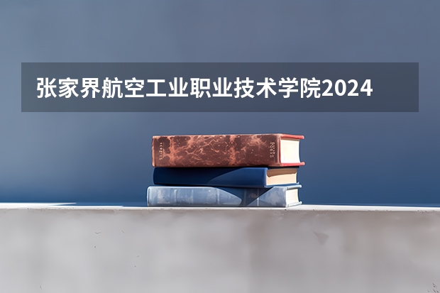 张家界航空工业职业技术学院2024湖南高考招生计划详解