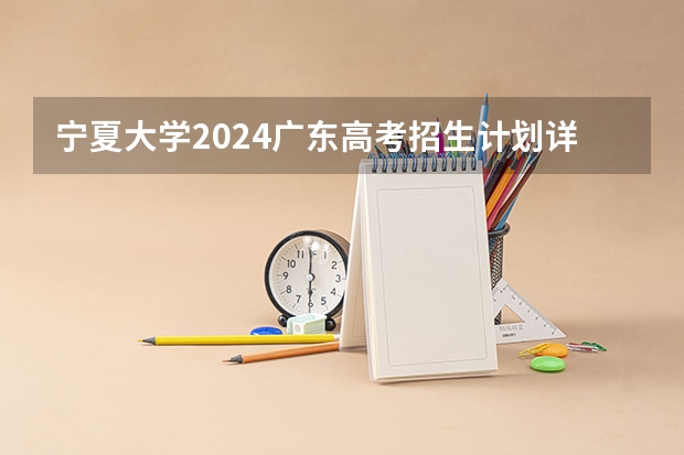 宁夏大学2024广东高考招生计划详解