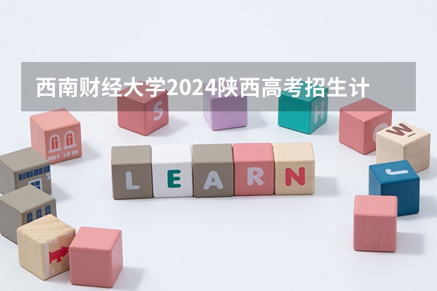 西南财经大学2024陕西高考招生计划详解