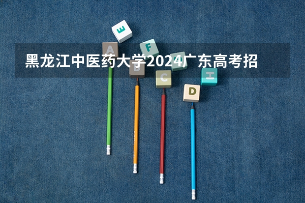 黑龙江中医药大学2024广东高考招生计划详解