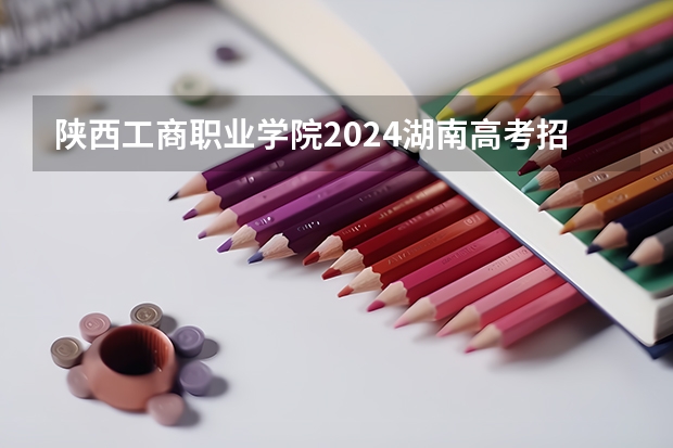 陕西工商职业学院2024湖南高考招生计划详解
