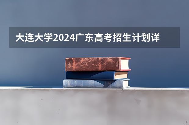 大连大学2024广东高考招生计划详解