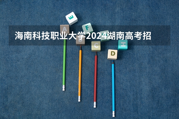 海南科技职业大学2024湖南高考招生计划详解