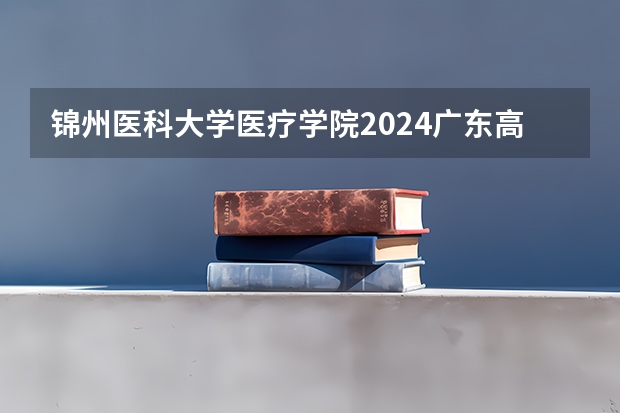 锦州医科大学医疗学院2024广东高考招生计划详解