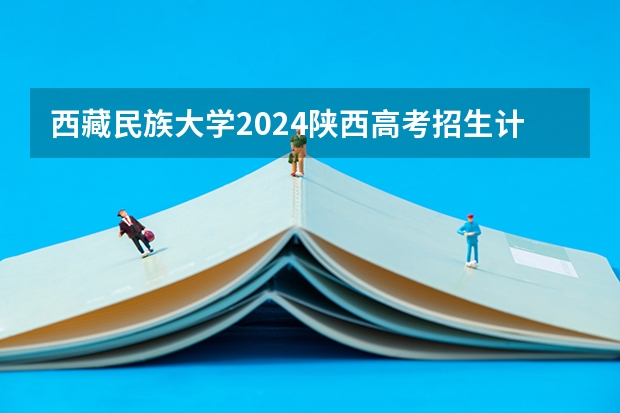 西藏民族大学2024陕西高考招生计划详解