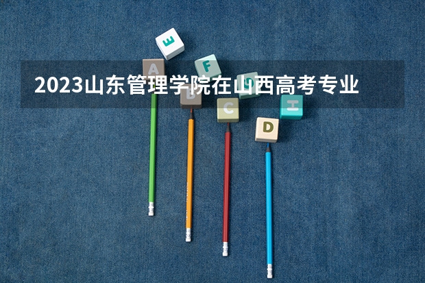 2023山东管理学院在山西高考专业招生计划人数
