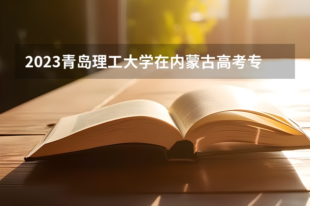 2023青岛理工大学在内蒙古高考专业招生计划人数