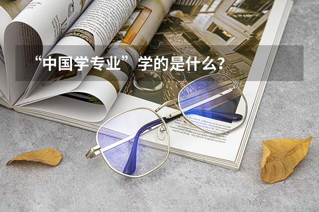 “中国学专业”学的是什么？