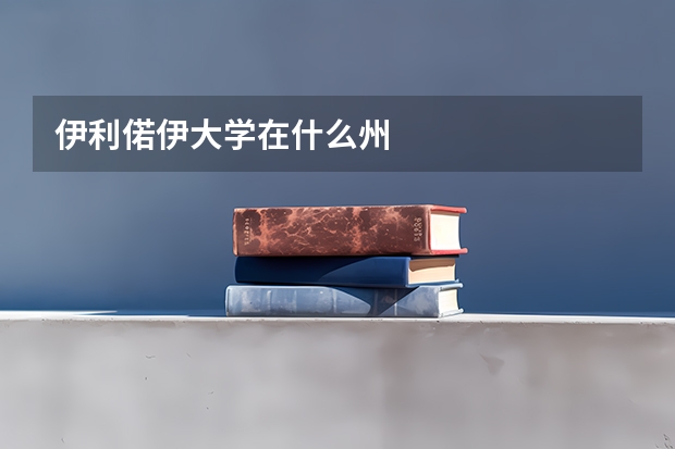 伊利偌伊大学在什么州