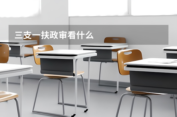 三支一扶政审看什么