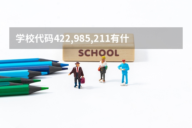学校代码422,985,211有什么区别
