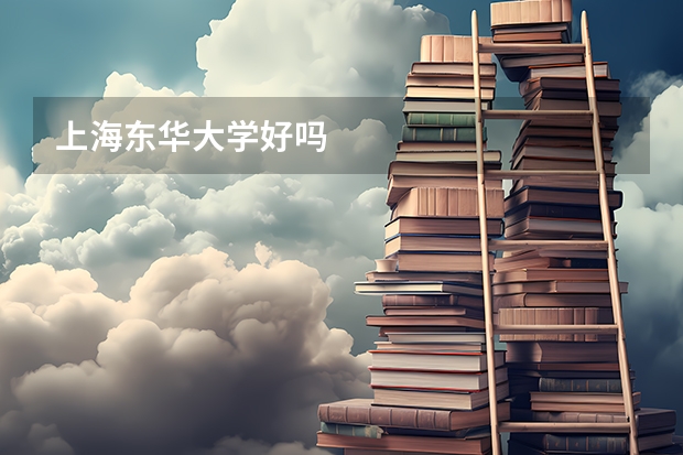 上海东华大学好吗