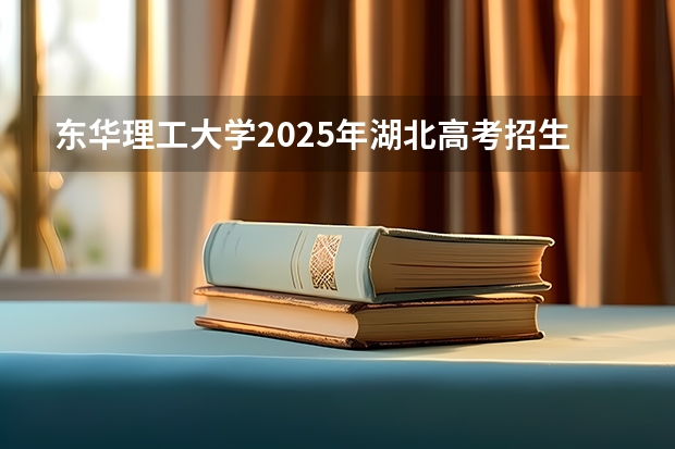 东华理工大学2025年湖北高考招生计划预测