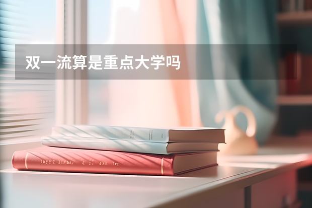 双一流算是重点大学吗