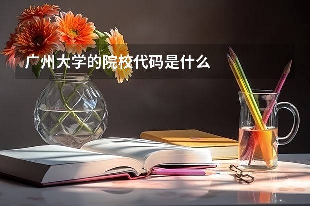 广州大学的院校代码是什么