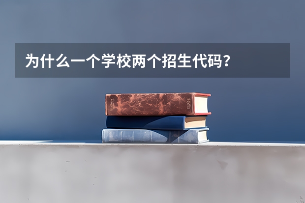 为什么一个学校两个招生代码？