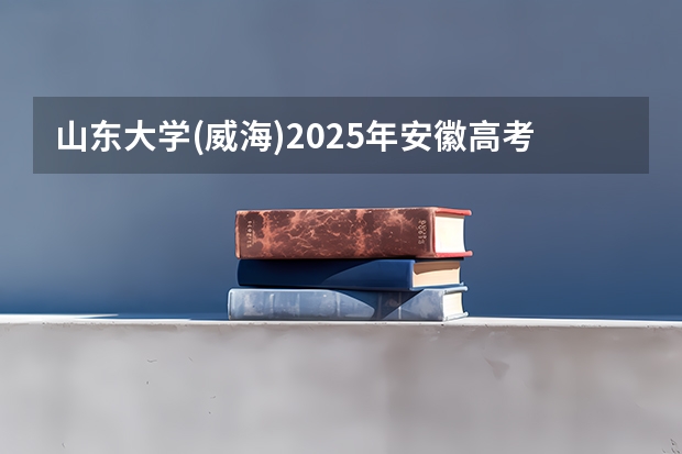 山东大学(威海)2025年安徽高考招生计划预测
