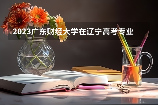 2023广东财经大学在辽宁高考专业招生计划人数
