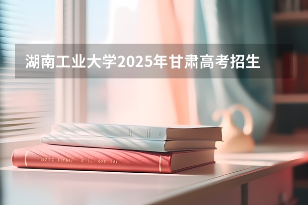 湖南工业大学2025年甘肃高考招生计划预测