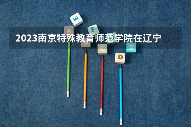 2023南京特殊教育师范学院在辽宁高考专业招生计划人数