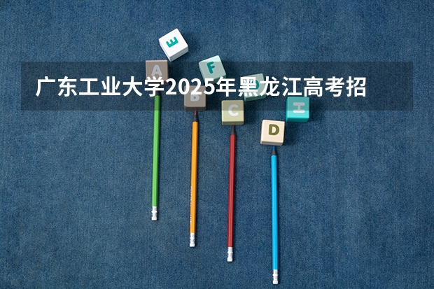 广东工业大学2025年黑龙江高考招生计划预测
